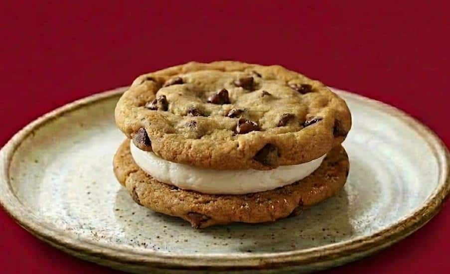 Vegan Choc. Chip. Sammy